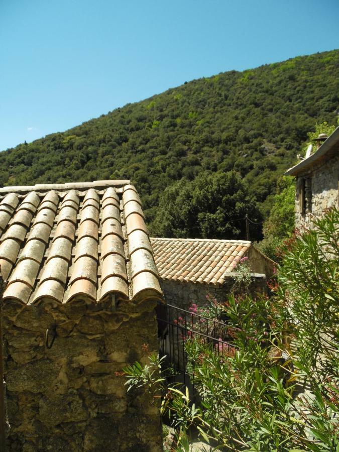 Bed and Breakfast Mas Des Nabieres Saint-Martial  Exteriér fotografie